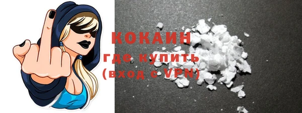 шишки Козельск