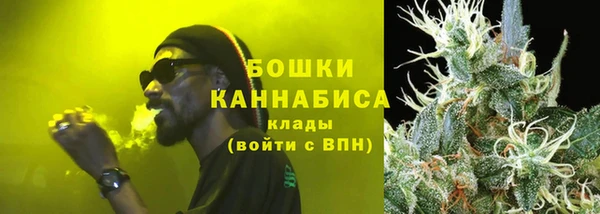 шишки Козельск