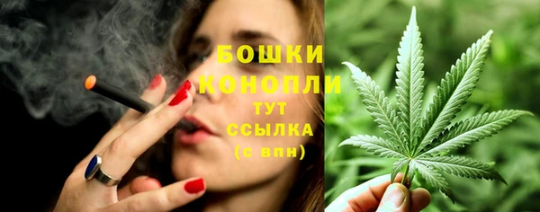 МДПВ Козловка