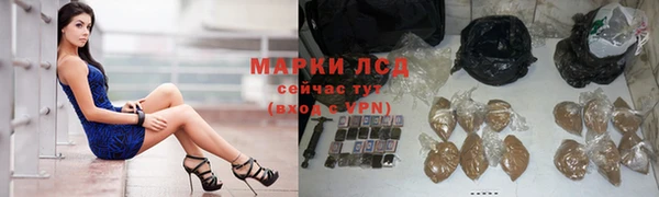 шишки Козельск