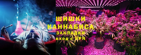 шишки Козельск