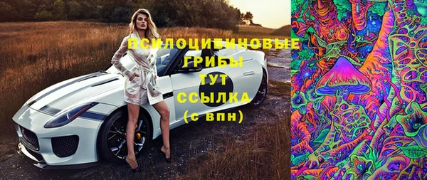 шишки Козельск