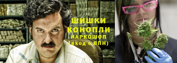 МДПВ Козловка