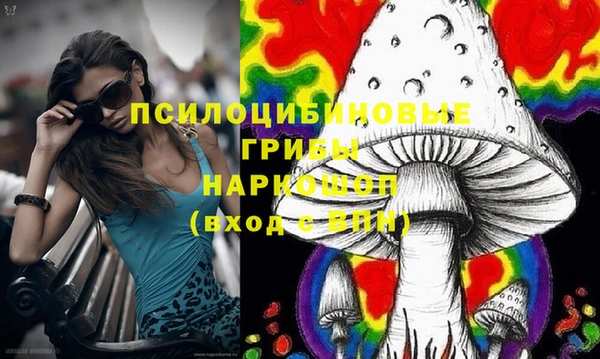 МДПВ Козловка