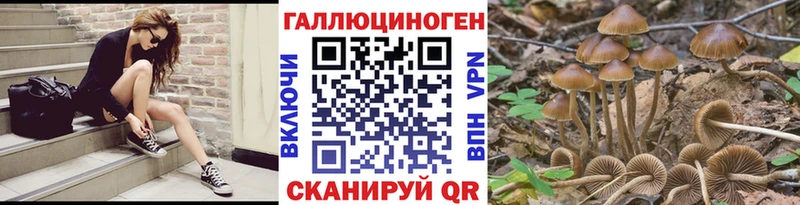 Галлюциногенные грибы Cubensis  Купить где  Великие Луки 